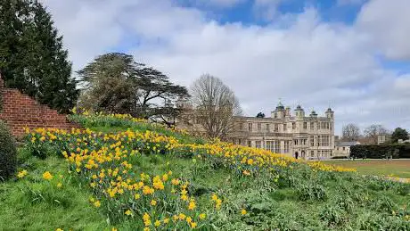 Photo de Audley End Park