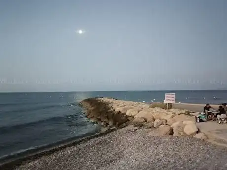 Plage canine