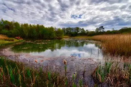 Photo de Shewalton Walk