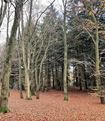 Photo de Trent Park - public walking area/park