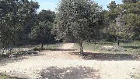 Photo de Els 4 Camins