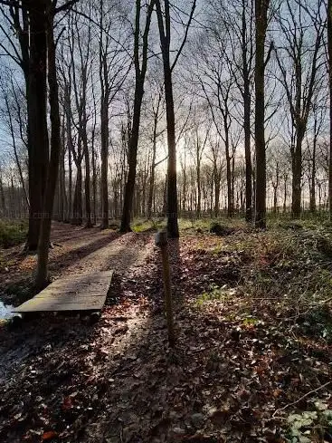 Plaisierbos
