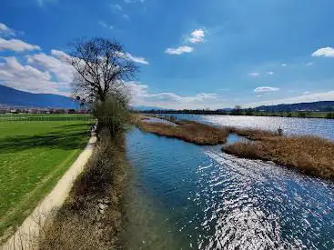 Beobachtungsturm Naturschutzinseln Selzach