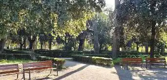 Photo de Parc Forest