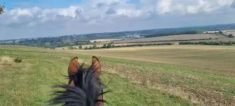 Photo de Park Farm Equestrian