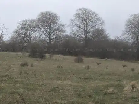Photo de Deer Park