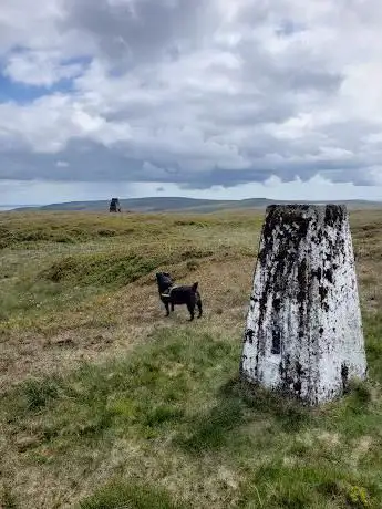 Photo de White Hill