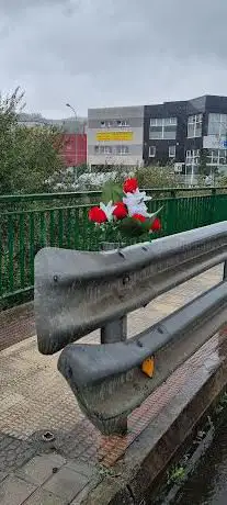 Photo de Puente de RUBI