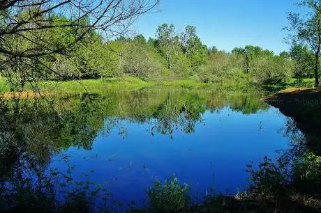Oasi WWF Baraggia di Bellinzago