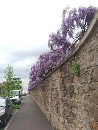 Photo de Monastère Sainte Claire