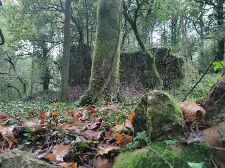 Muiños do Breiro