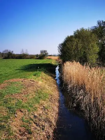 Photo de Hochholz-Kapellenbruch Nature Reserve