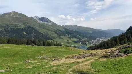 Drusatscha