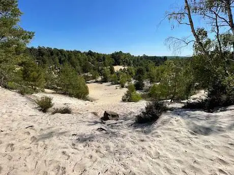 Photo de Mer de sable