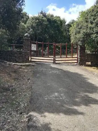 Su Padenti
