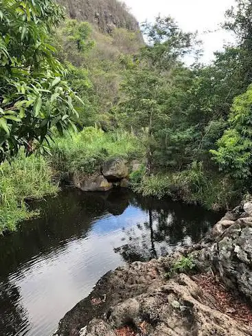 Bassin Tamarin