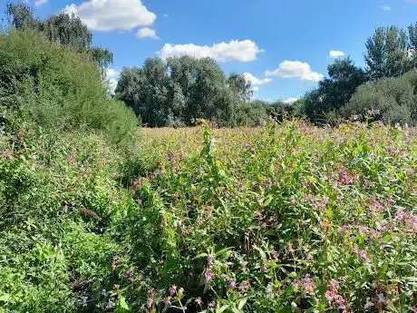 Willow Garth Nature Reserve