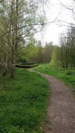 Photo de Millennium Wood Car Park