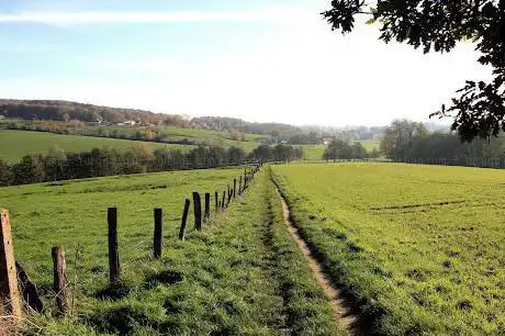 Muziekbos wandelroute