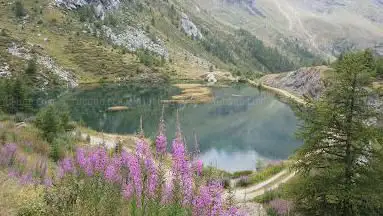 Lago Layet