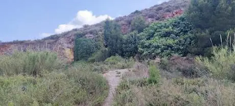 Photo de La Fuente del Sapo