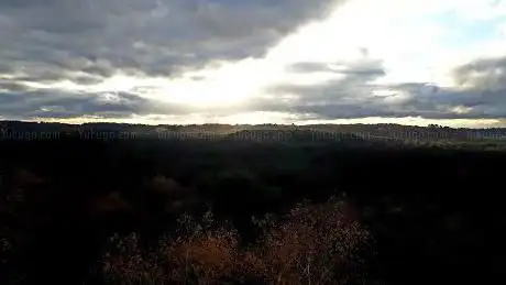 Photo de Forêt Domaniale de la Commanderie