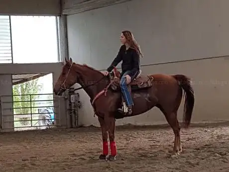 Lone Star Ranch