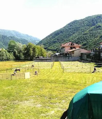 IL BINOMIO - PASSIONE EQUESTRE