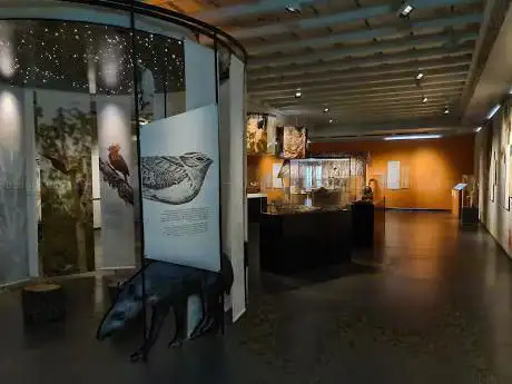 Photo de Musée ethnographique de l'Université de Zurich