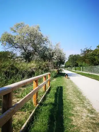 Parco Sgambamento Cani