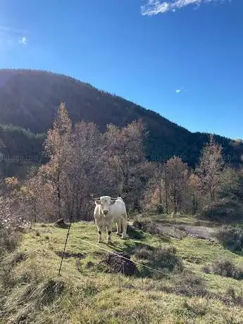 Photo de Mil Colinas