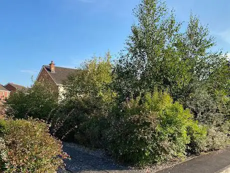 Photo de Danesfort Park Garden