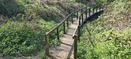 Corfe Barrows Nature Park