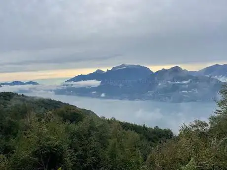Prato Stella