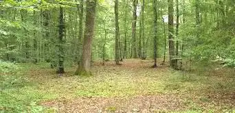 Photo de Wanderparkplatz BÃ¶ckweiler