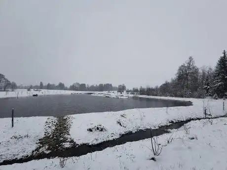 Sielmann-Weiher Ruhestetter Ried
