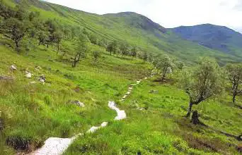 Photo de Creag Meagaidh National Nature Reserve