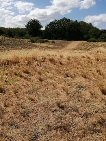 Photo de Dunes de Charmes Natural Area