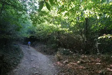 Photo de Monte Reboldo