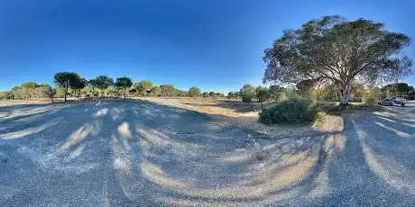 Manecorro