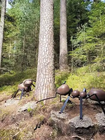 Montagne des Fourmis Géantes