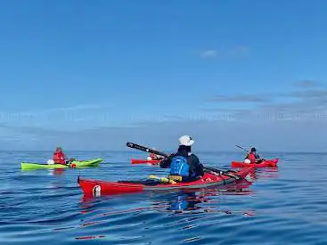 Paddle Cornwall