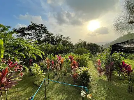 Le Jardin de la Montagne