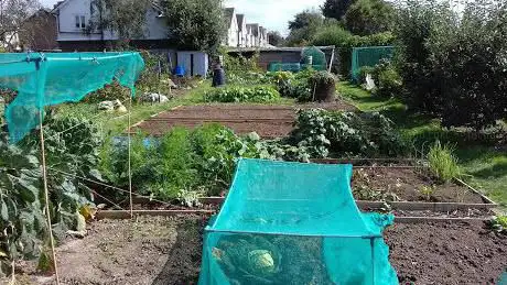 Angmering Allotments Association
