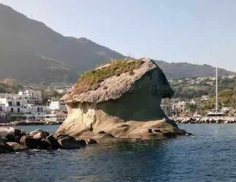 Photo de Il Fungo