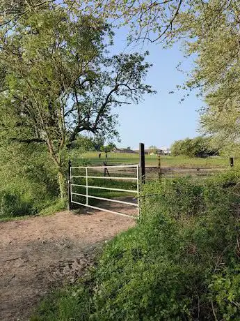 Haras du Diamantnoir