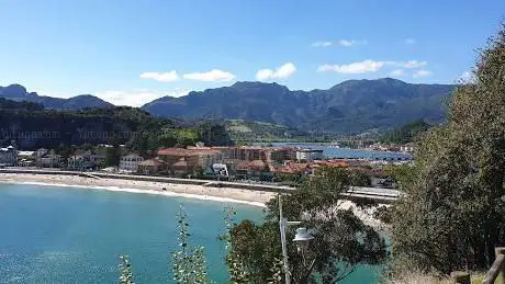Photo de Paneles de Mingote