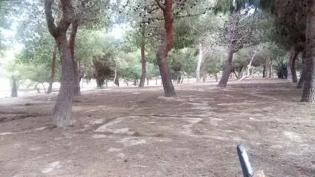 Photo de Los Pinos