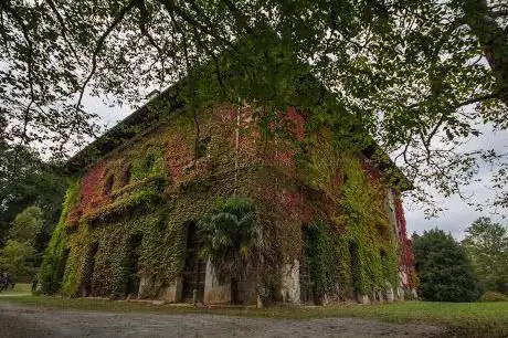 Photo de Munibe palace
