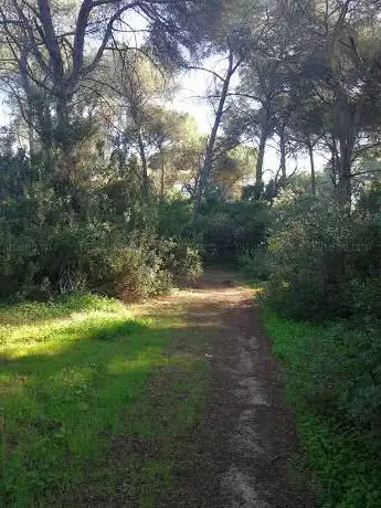 Photo de VÃa pecuaria cordel del camino de los Playeros